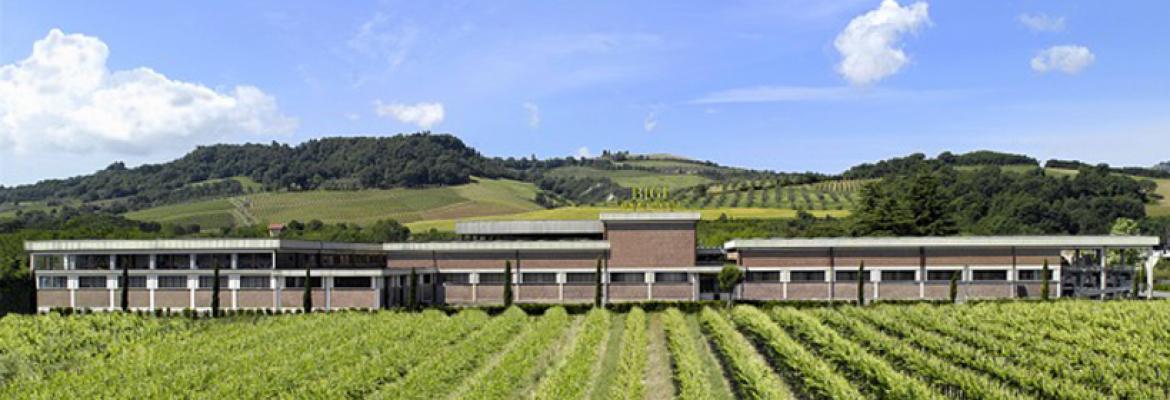 Bigi winery