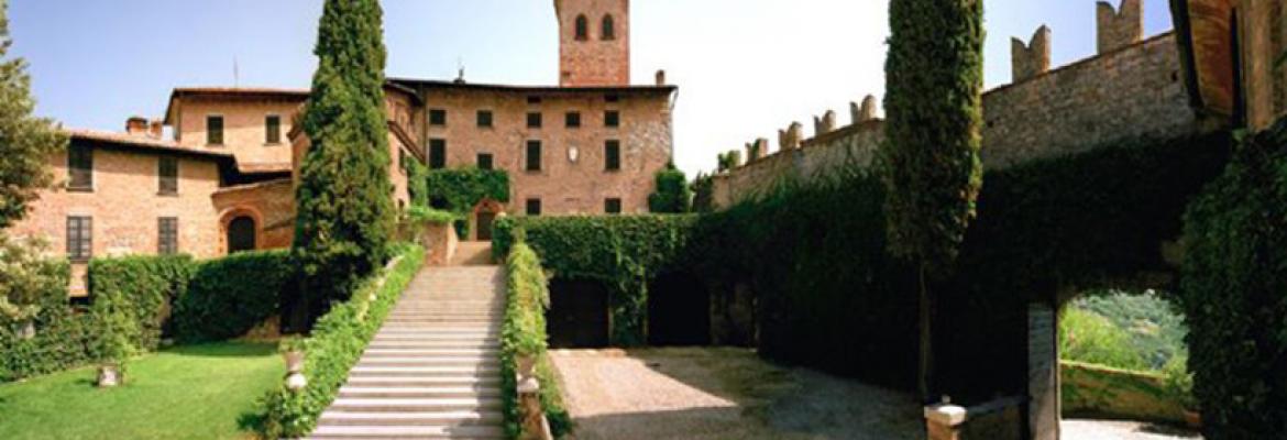 Castello di Cigognola vineyard resized