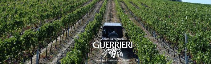 Azienda Agraria img