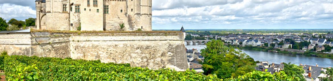 Chateau de Saumur Loire Valley France 155431622
