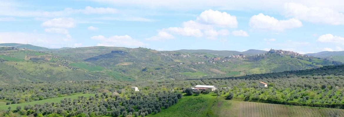 basilisco estate website image