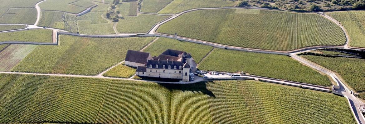 Domaine Pierre Labet Archives - Winehog - with a passion