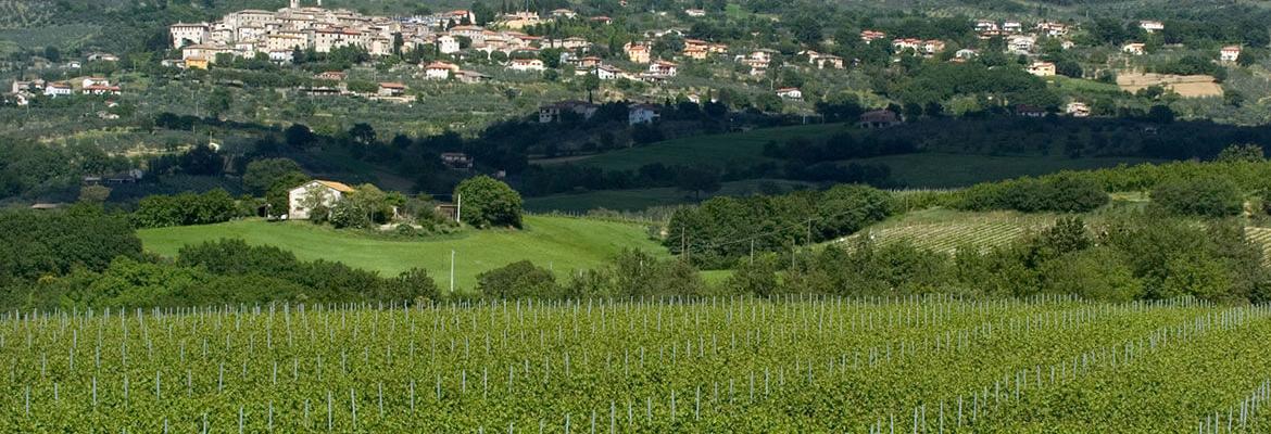 falesco famiglia cotarella hero