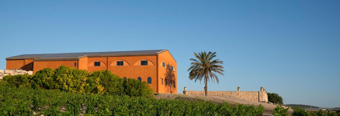 feudo maccari website image 