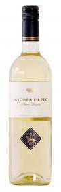 Venezia Giulia Pinot Grigio Andrea di Pec 2021