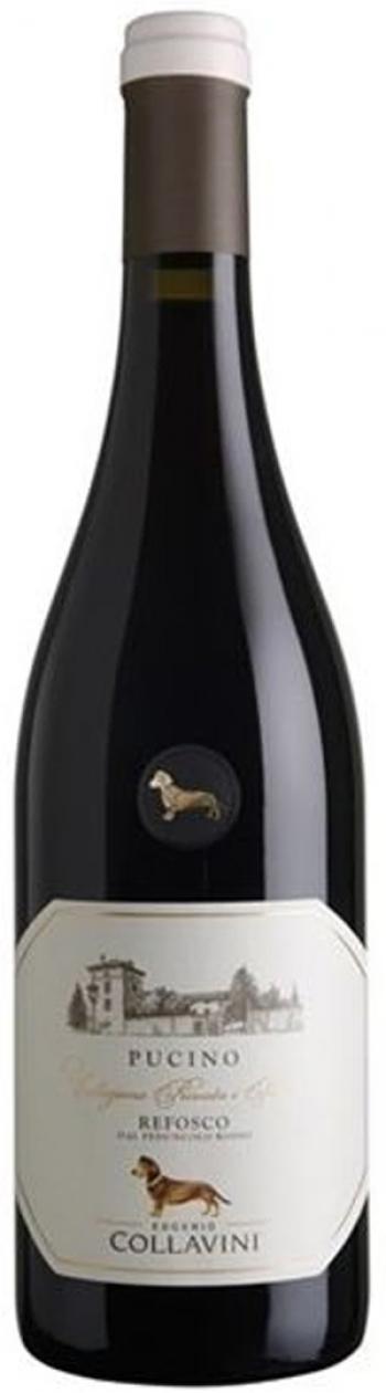 Collavini Refosco dal Punduncolo Pucino