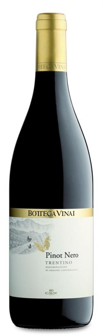 cavit trentino pinotnoir Botteghe Vinai