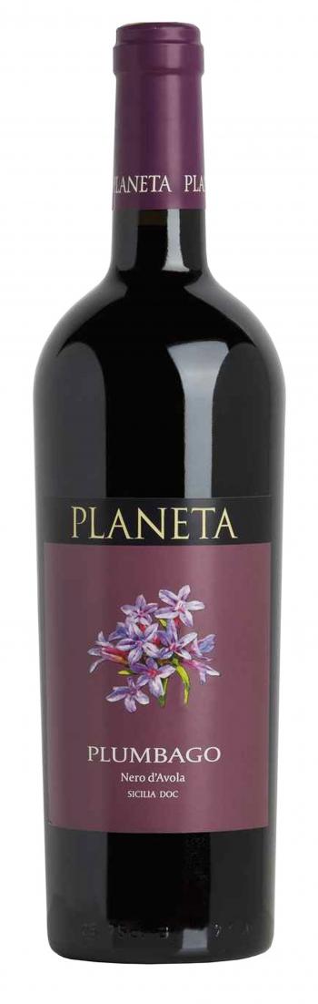 plumbago nero davola sicilia