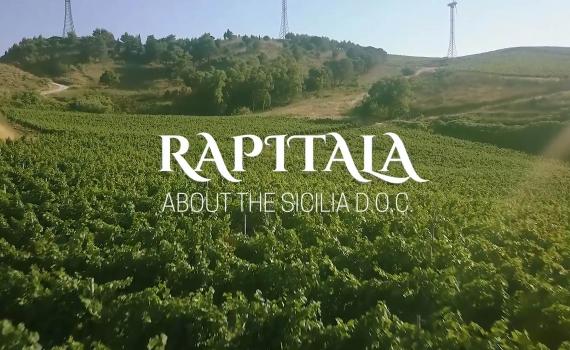 rapitala estate website image 2