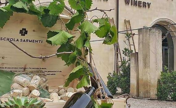 schola sarmenti website image